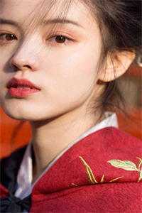 桑晚林芷安小说
