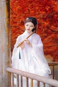鲛后倾权