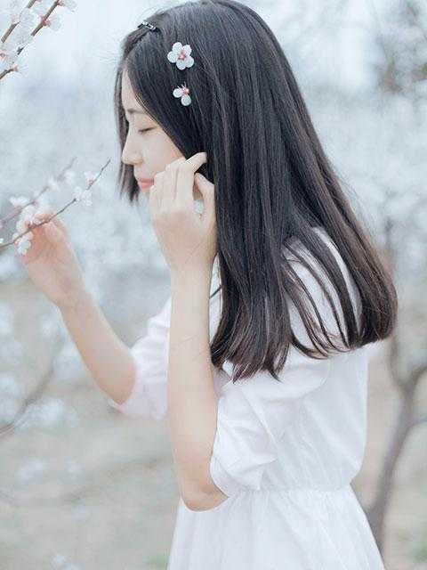 末世重生之我要在末世当大佬