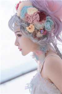 海贼王之泽法之子