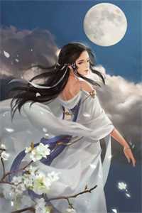 离婚后，律师老婆让我净身出户姜宛彤林浩宇新热门小说_免费阅读全文离婚后，律师老婆让我净身出户姜宛彤林浩宇