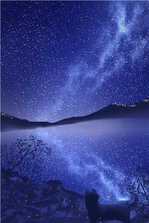 冷婚五年，他为我的初夜视频点天灯(顾惜陆漾)完整版免费全文阅读_最热门小说冷婚五年，他为我的初夜视频点天灯顾惜陆漾