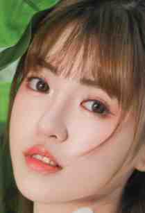 顾薇顾明岚《手撕鸠占鹊巢的恶毒母女》_《手撕鸠占鹊巢的恶毒母女》最新章节在线阅读